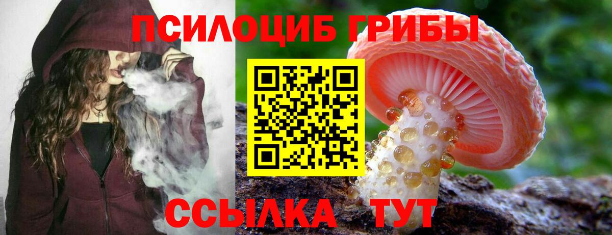 Туапсе  Псилоцибиновые грибы прущие грибы  Вход с VPN 